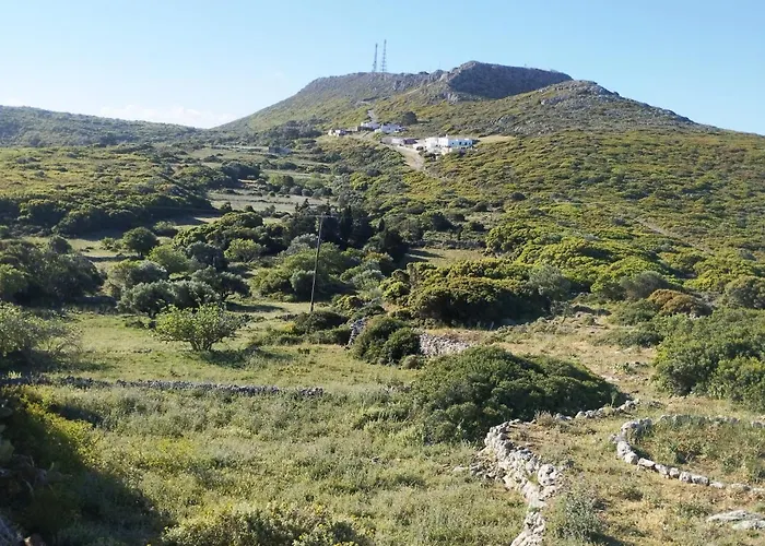 Sophie's Pourko House